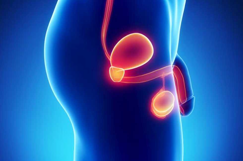 medico_urologista_jau