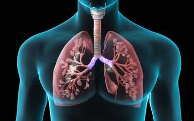 4 dicas de como (sempre) prevenir as doenças respiratórias